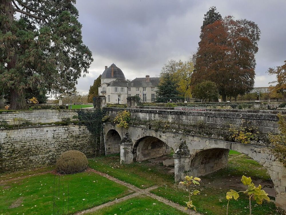 large_338056_65x7n4qxs3_whr_ad7230916f.jpg (233 KB)