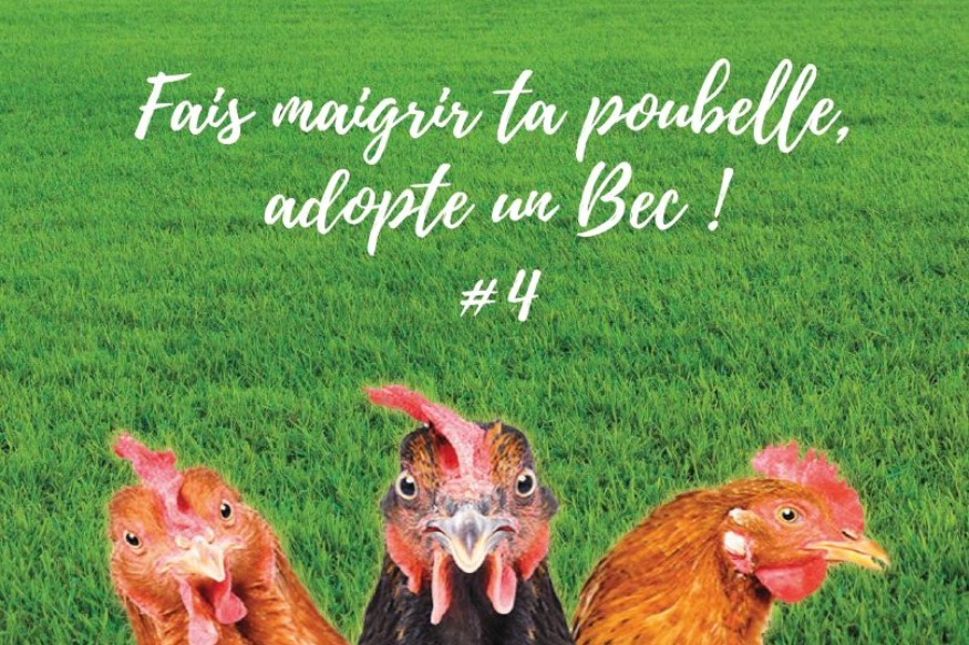 Nevers Agglo : ça vous dit d'adopter un bec ?